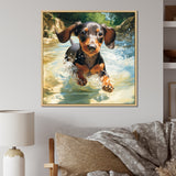 Cute Dachshund Playing In The River - Dog Daschund Home Decor Art