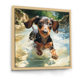Cute Dachshund Playing In The River - Dog Daschund Home Decor Art