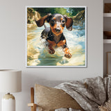 Cute Dachshund Playing In The River - Dog Daschund Home Decor Art