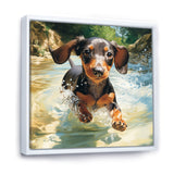 Cute Dachshund Playing In The River - Dog Daschund Home Decor Art