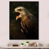 Portrait Of Eagle Nature Photography - Eagle Wall Art Prints