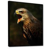 Portrait Of Eagle Nature Photography - Eagle Wall Art Prints