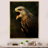 Portrait Of Eagle Nature Photography - Eagle Wall Art Prints