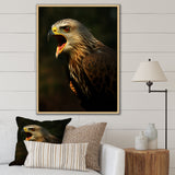 Portrait Of Eagle Nature Photography - Eagle Wall Art Prints