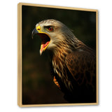 Portrait Of Eagle Nature Photography - Eagle Wall Art Prints