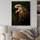 Portrait Of Eagle Nature Photography - Eagle Wall Art Prints
