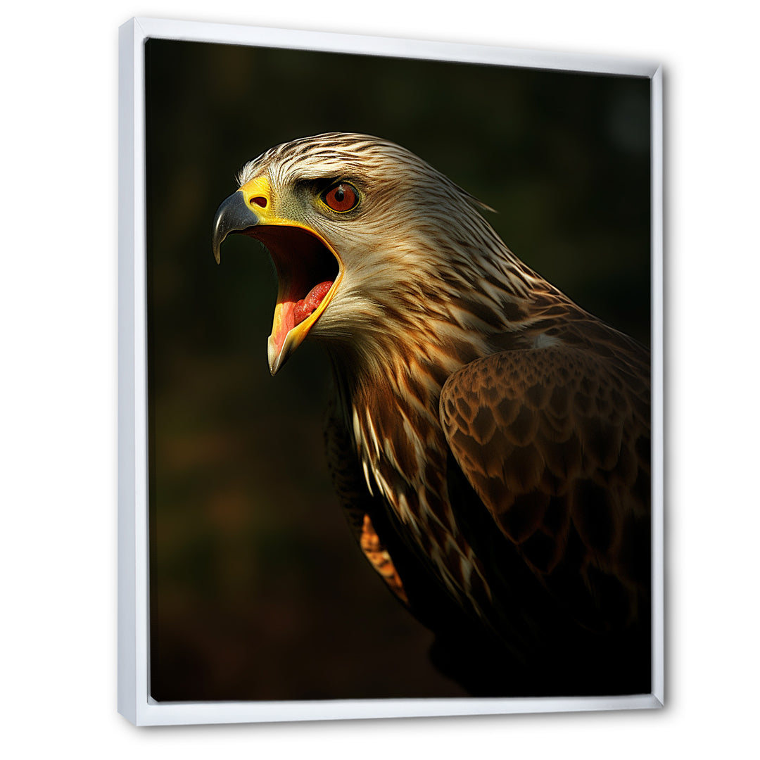 Portrait Of Eagle Nature Photography - Eagle Wall Art Prints
