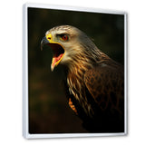 Portrait Of Eagle Nature Photography - Eagle Wall Art Prints