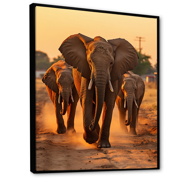 Glorious Elephant In The Wild At Sunset Wildlife - Black Elephant Wall Art