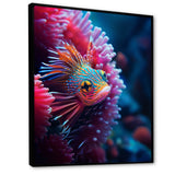 Tropical Red Deep Sea Fish Nature Photography - Fish Home Decor Art
