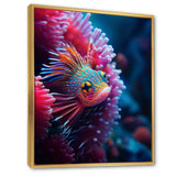 Tropical Red Deep Sea Fish Nature Photography - Fish Home Decor Art