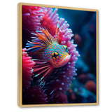 Tropical Red Deep Sea Fish Nature Photography - Fish Home Decor Art
