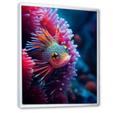 Tropical Red Deep Sea Fish Nature Photography - Fish Home Decor Art