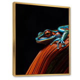 Portrait Of Pinstriped Tree Frog Wildlife - Frog Home Decor Art