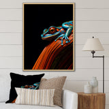 Portrait Of Pinstriped Tree Frog Wildlife - Frog Home Decor Art