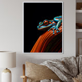 Portrait Of Pinstriped Tree Frog Wildlife - Frog Home Decor Art