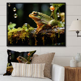 Portrait Of Green Frog Nature Photography - Frog Bedroom Wall Art