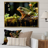 Portrait Of Green Frog Nature Photography - Frog Bedroom Wall Art