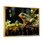 Portrait Of Green Frog Nature Photography - Frog Bedroom Wall Art