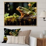 Portrait Of Green Frog Nature Photography - Frog Bedroom Wall Art