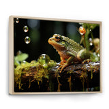 Portrait Of Green Frog Nature Photography - Frog Bedroom Wall Art