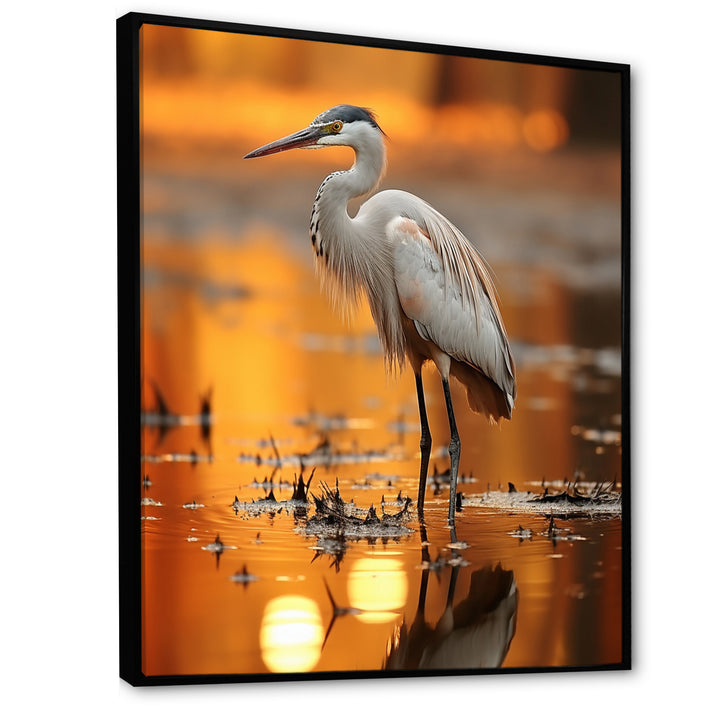 Portrait Of White Heron Wildlife Photography - Heron Wall Decor