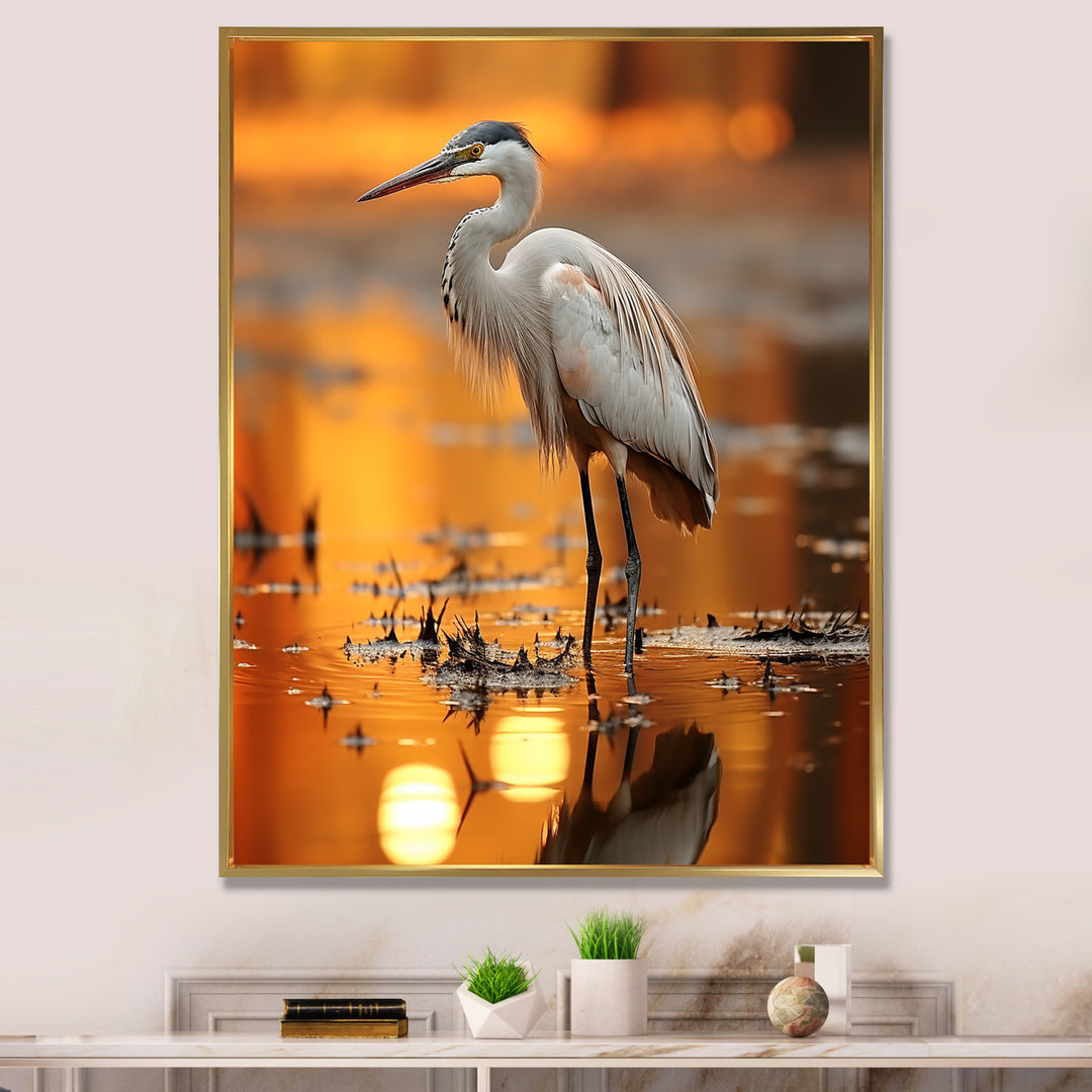 Portrait Of White Heron Wildlife Photography - Heron Wall Decor