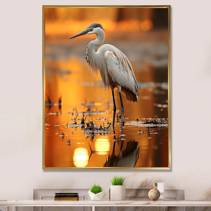 Portrait Of White Heron Wildlife Photography - Heron Wall Decor