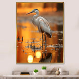 Portrait Of White Heron Wildlife Photography - Heron Wall Decor