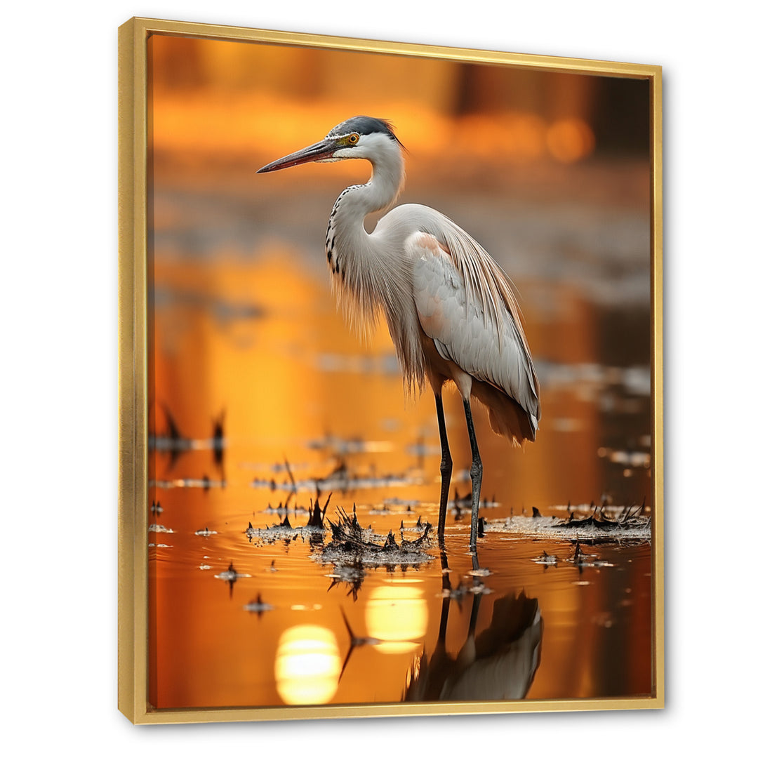 Portrait Of White Heron Wildlife Photography - Heron Wall Decor