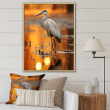 Portrait Of White Heron Wildlife Photography - Heron Wall Decor