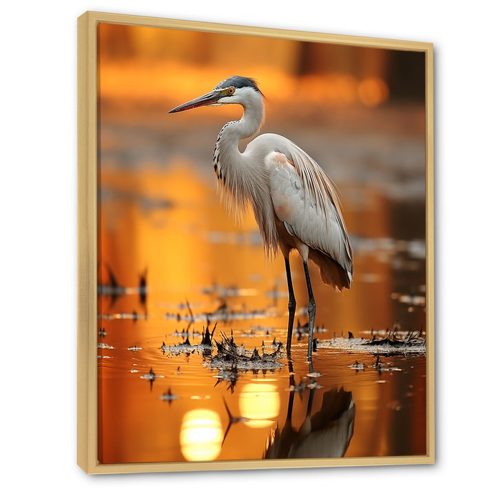 Portrait Of White Heron Wildlife Photography - Heron Wall Decor