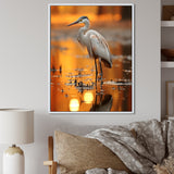 Portrait Of White Heron Wildlife Photography - Heron Wall Decor