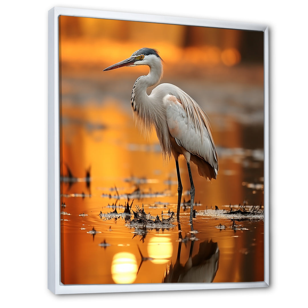 Portrait Of White Heron Wildlife Photography - Heron Wall Decor