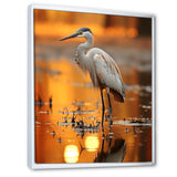 Portrait Of White Heron Wildlife Photography - Heron Wall Decor