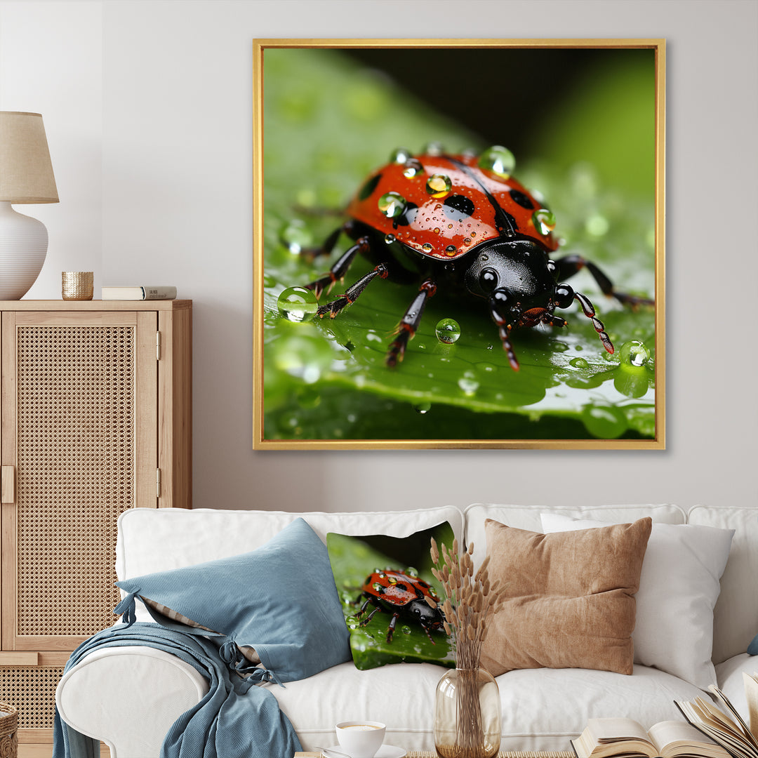 Portrait Of Lady Bug Macro Photography - Insects &amp; Bugs Framed Canvas Art