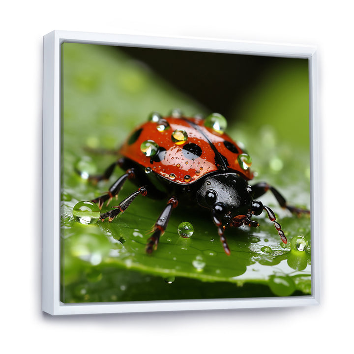 Portrait Of Lady Bug Macro Photography - Insects &amp; Bugs Framed Canvas Art