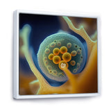 Macro Photography Of Marine Cells - Marine Animals Bedroom Wall Art