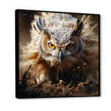 Portrait Of Brown Owl Wildlife Photography - White Owl Wall Art