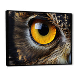 Close-up Of Eye Of Brown Owl Wildlife Photography - Owl Large Canvas Wall Art