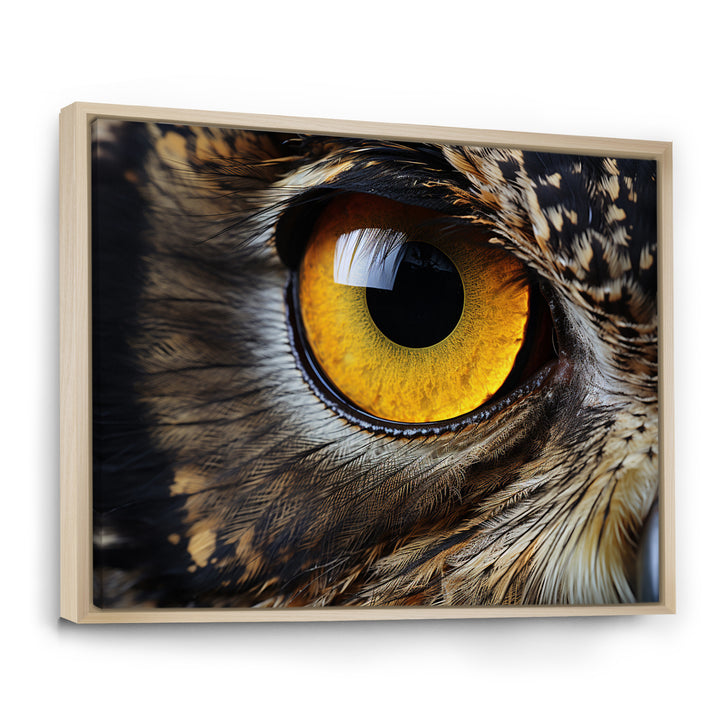 Close-up Of Eye Of Brown Owl Wildlife Photography - Owl Large Canvas Wall Art