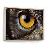 Close-up Of Eye Of Brown Owl Wildlife Photography - Owl Large Canvas Wall Art