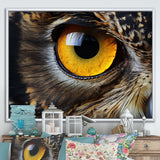 Close-up Of Eye Of Brown Owl Wildlife Photography - Owl Large Canvas Wall Art