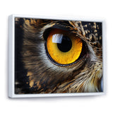Close-up Of Eye Of Brown Owl Wildlife Photography - Owl Large Canvas Wall Art