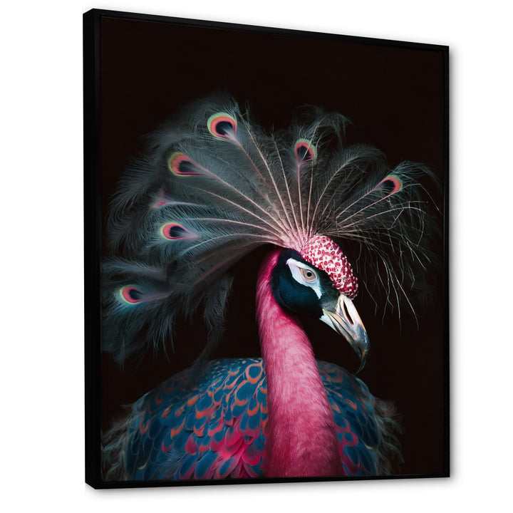 Portrait Of Pink Peacock - Peacock Wall Decor