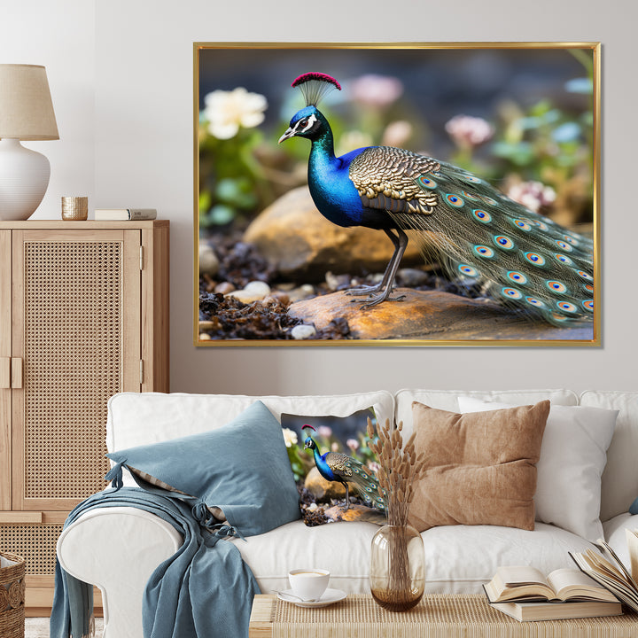 Photography Portrait Of Blue Peacock - Peacock Framed Canvas Art