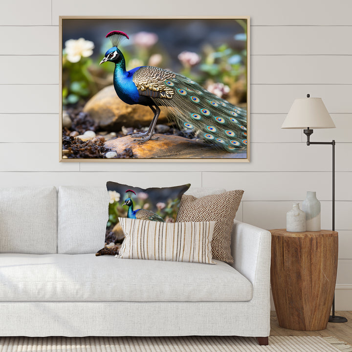 Photography Portrait Of Blue Peacock - Peacock Framed Canvas Art