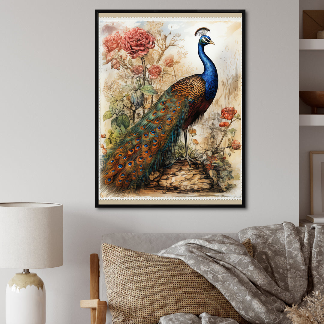 Vintage Illustration Of Glorious Peacock - Peacock Large Canvas Wall Art