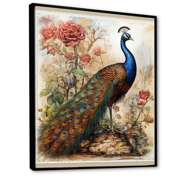 Vintage Illustration Of Glorious Peacock - Peacock Large Canvas Wall Art