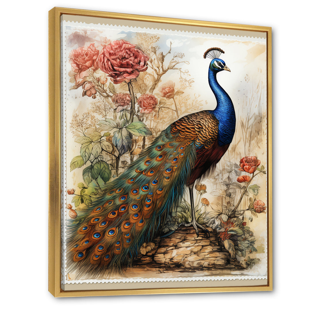 Vintage Illustration Of Glorious Peacock - Peacock Large Canvas Wall Art
